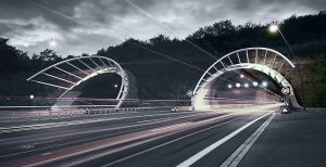 Motorway safety management